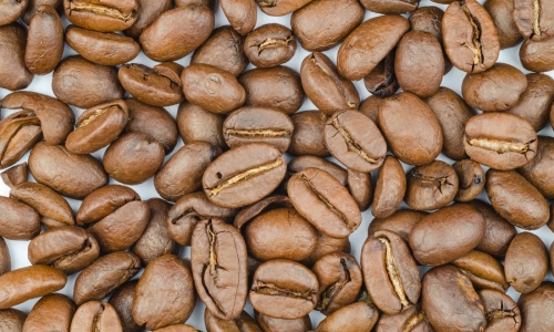 Torra Ideal : O Processo Perfeito para Cafés Especiais Avaliados pela SCA