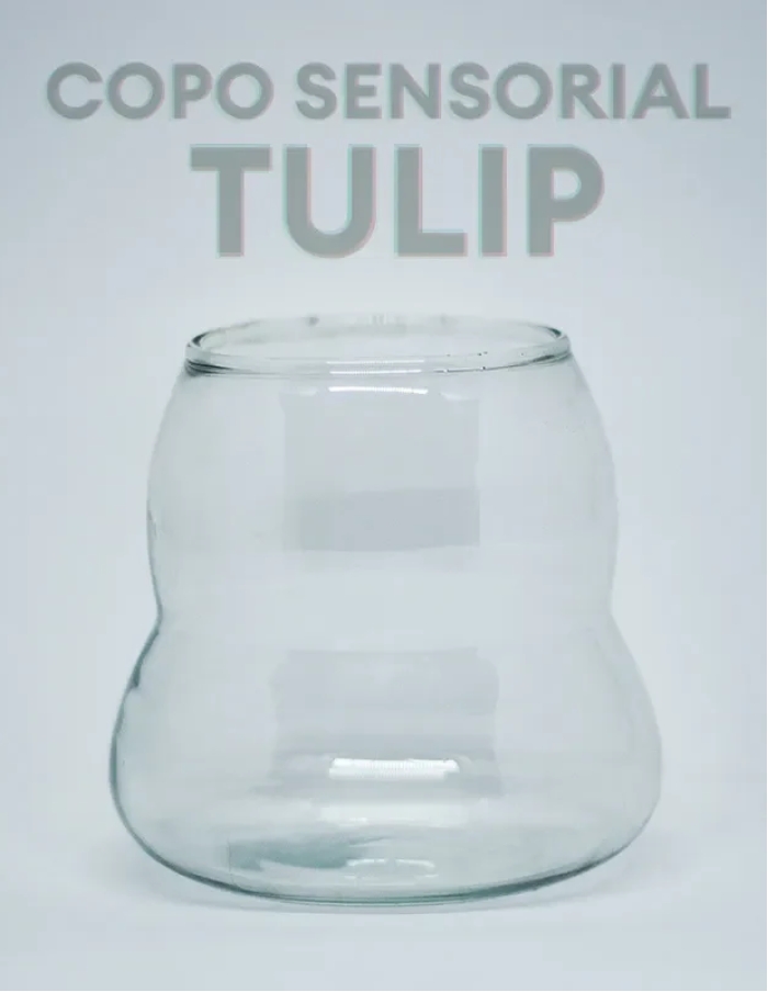 Copos Sensoriais - SPLIT E TULIP