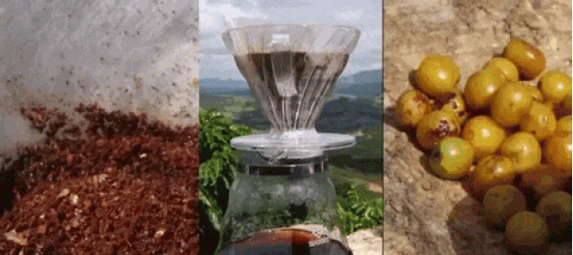 Despertando seus Sentidos com um Café Excepcional