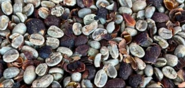 Esqueça Tudo que Você Conhece sobre Café!