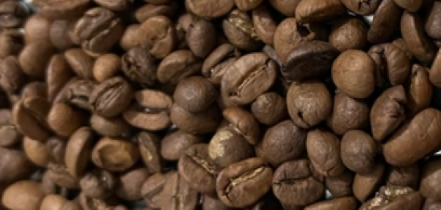 Uma Experiência para os Paladares Exigentes