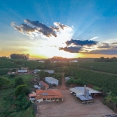 National Winner Cup Of Excellence Brasil 2025  - Torra  75