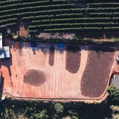 National Winner Cup Of Excellence Brasil 2025  - Torra  75