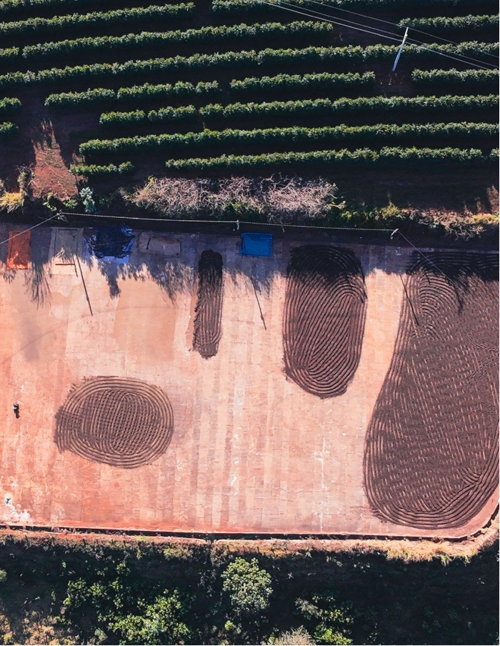 National Winner Cup Of Excellence Brasil 2025  - Torra  75