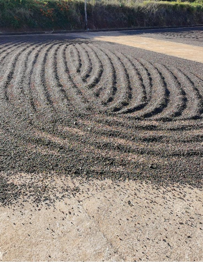 National Winner Cup Of Excellence Brasil 2025  - Torra  75