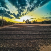 National Winner Cup Of Excellence Brasil 2025  - Torra  75