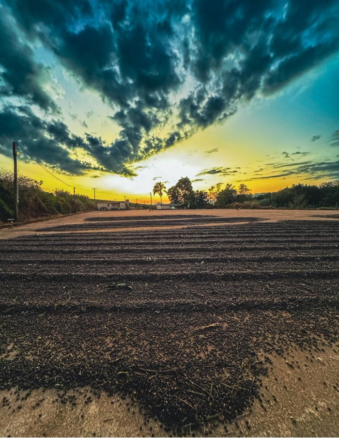 National Winner Cup Of Excellence Brasil 2025  - Torra  75