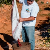 Café especial Torra 75- Licor de Ameixa