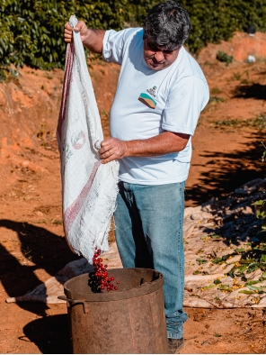 Café especial Torra 75- Licor de Ameixa