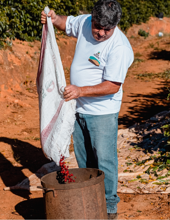 Café especial Torra 75- Licor de Ameixa