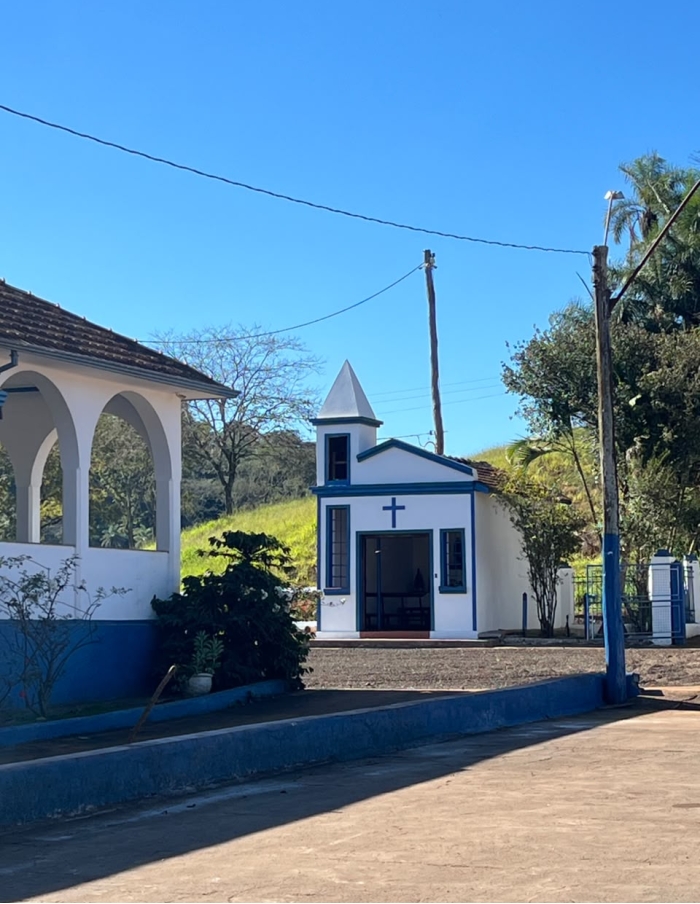 Da semente a Xícara Torra 75