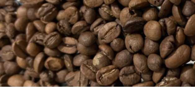 Uma Experiência para os Paladares Exigentes